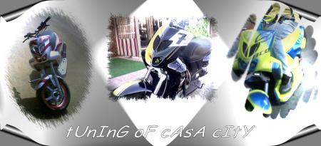 stunt 4ever